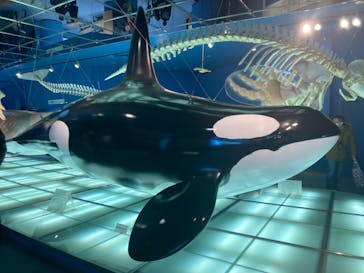 名古屋港水族館に投稿された画像（2023/12/30）