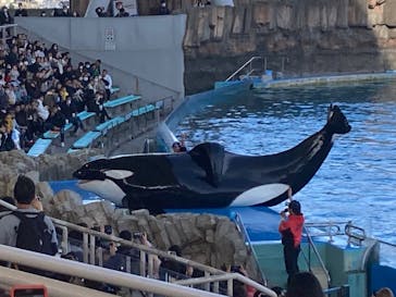 名古屋港水族館に投稿された画像（2023/12/30）