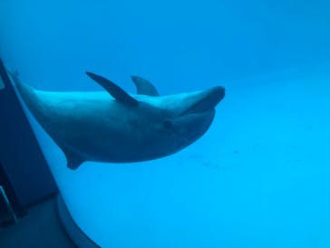 名古屋港水族館に投稿された画像（2023/12/30）