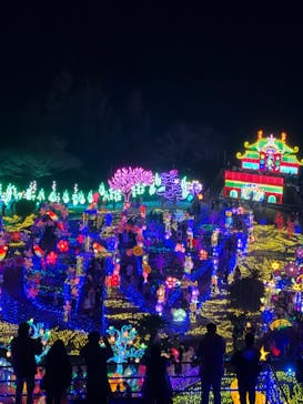 伊豆ぐらんぱる公園に投稿された画像（2023/12/30）