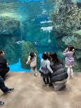 京都水族館に投稿された画像（2023/12/30）