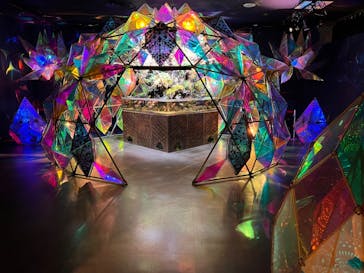 NARA KINGYO MUSEUMに投稿された画像（2023/12/30）