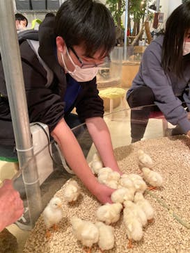 Moff animal cafe イオンモール幕張新都心店に投稿された画像（2023/12/30）