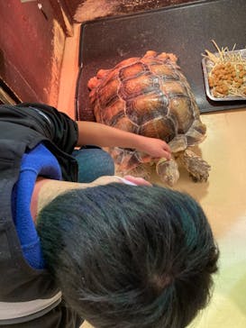 Moff animal cafe イオンモール幕張新都心店に投稿された画像（2023/12/30）