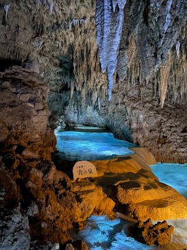 おきなわワールドに投稿された画像（2023/12/30）