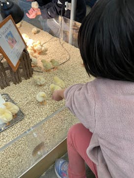 Moff アニマル カフェ イーアス 高尾店に投稿された画像（2023/12/30）