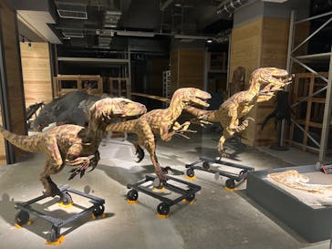 福井県立恐竜博物館に投稿された画像（2023/12/30）