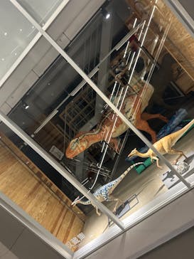 福井県立恐竜博物館に投稿された画像（2023/12/30）