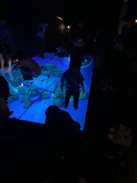 DMMかりゆし水族館に投稿された画像（2023/12/30）