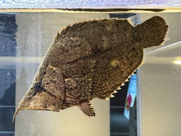 AOAO SAPPOROに投稿された画像（2023/12/30）