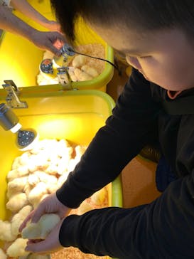 いきもの探検隊上尾に投稿された画像（2023/12/30）