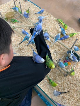 いきもの探検隊上尾に投稿された画像（2023/12/30）