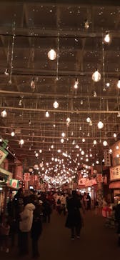 西武園ゆうえんちに投稿された画像（2023/12/30）