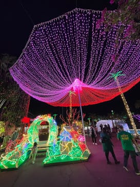 美らヤシパークオキナワ・東南植物楽園に投稿された画像（2023/12/30）