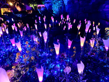 ひらかたパークに投稿された画像（2023/12/30）