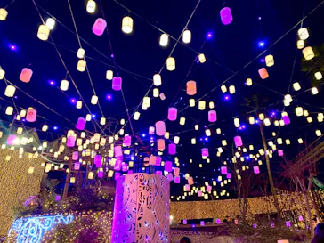 ひらかたパークに投稿された画像（2023/12/30）