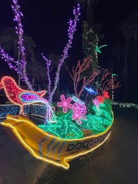 美らヤシパークオキナワ・東南植物楽園に投稿された画像（2023/12/30）