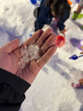 東京あそびマーレに投稿された画像（2023/12/30）