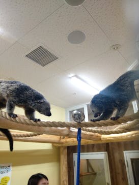 アニタッチ MARK IS 静岡に投稿された画像（2023/12/30）