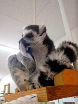 アニタッチ MARK IS 静岡に投稿された画像（2023/12/30）