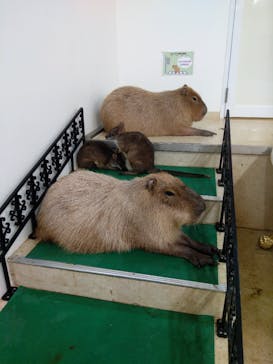 アニタッチ MARK IS 静岡に投稿された画像（2023/12/30）