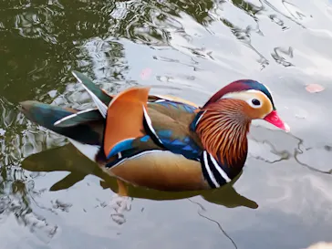 神戸どうぶつ王国に投稿された画像（2023/12/30）