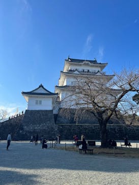 小田原城に投稿された画像（2023/12/30）