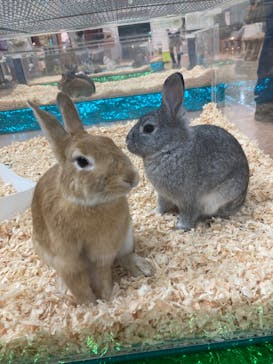 いきもの探検隊上尾に投稿された画像（2023/12/30）