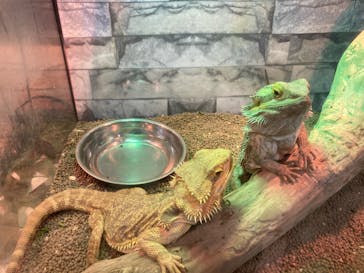 いきもの探検隊上尾に投稿された画像（2023/12/30）