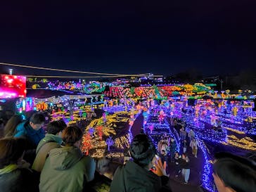 伊豆ぐらんぱる公園に投稿された画像（2023/12/30）