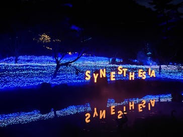 KYOTO ILLUMINATION SYNESTHESIA HILLS るり渓温泉に投稿された画像（2023/12/30）