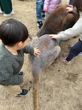 神戸どうぶつ王国に投稿された画像（2023/12/30）