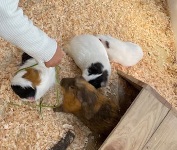 アニタッチ MARK IS 静岡に投稿された画像（2023/12/30）