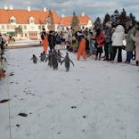 登別マリンパークニクスに投稿された画像（2023/12/30）