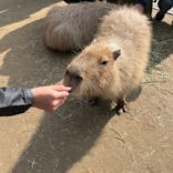 長崎バイオパークに投稿された画像（2023/12/30）