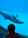 名古屋港水族館に投稿された画像（2023/12/30）