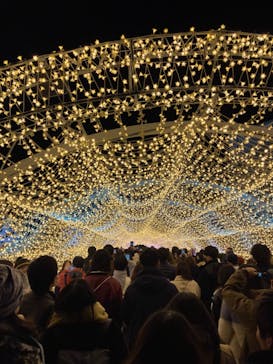 東京メガイルミに投稿された画像（2023/12/30）