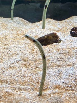 AOAO SAPPOROに投稿された画像（2023/12/30）