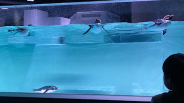 AOAO SAPPOROに投稿された画像（2023/12/30）