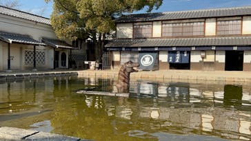 東映太秦映画村に投稿された画像（2023/12/30）