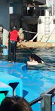 名古屋港水族館に投稿された画像（2023/12/30）