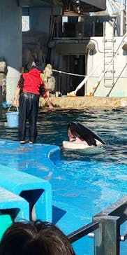 名古屋港水族館に投稿された画像（2023/12/30）