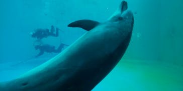 名古屋港水族館に投稿された画像（2023/12/30）