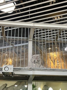 NIFREL（ニフレル）に投稿された画像（2023/12/30）