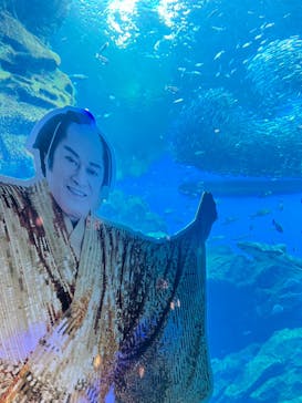 仙台うみの杜水族館に投稿された画像（2023/12/30）