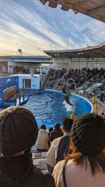 仙台うみの杜水族館に投稿された画像（2023/12/30）