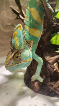 NIFREL（ニフレル）に投稿された画像（2023/12/30）