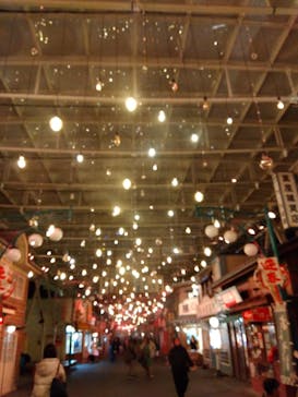 西武園ゆうえんちに投稿された画像（2023/12/30）