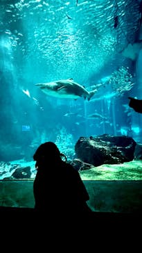 マリンワールド海の中道に投稿された画像（2023/12/30）