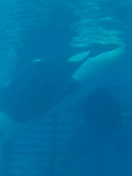 名古屋港水族館に投稿された画像（2023/12/30）